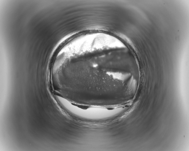 X0000084561125200703161659