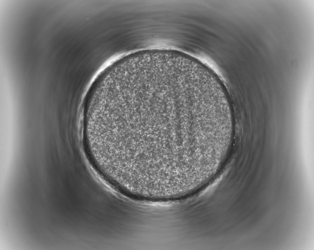 X0000084561126200703161659