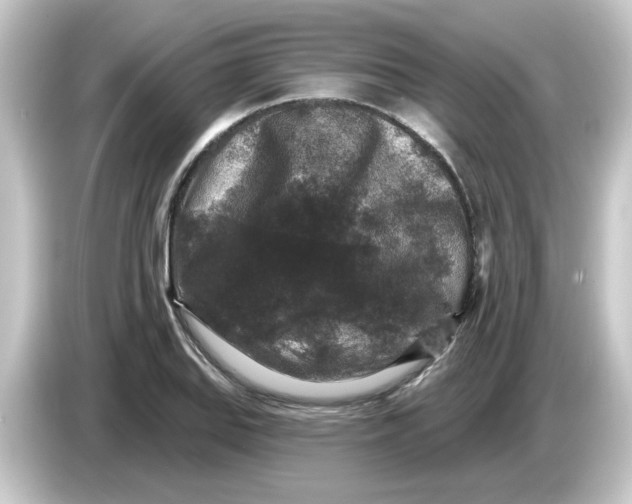 X0000084561127200703161659