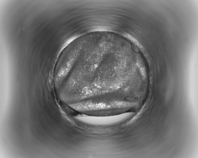 X0000084561129200703161659