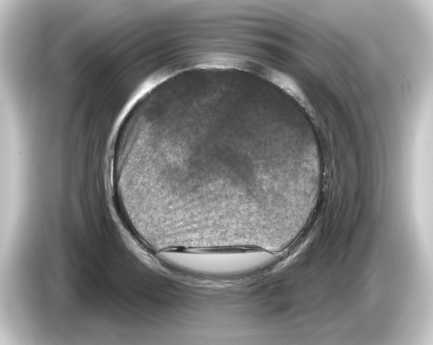 X0000084561130200703161659