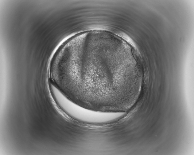 X0000084561132200703161659