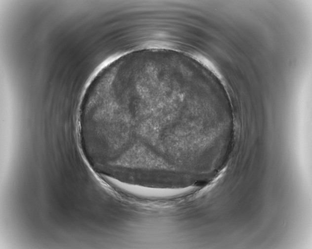 X0000084561133200703161659