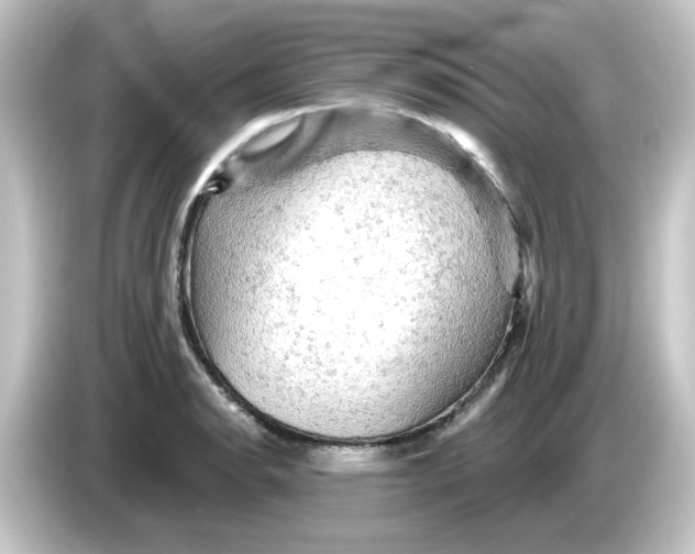 X0000084561134200703161659