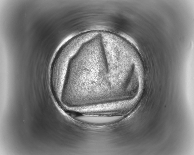 X0000084561135200703161659