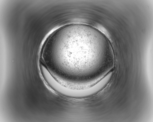 X0000084561136200703161659