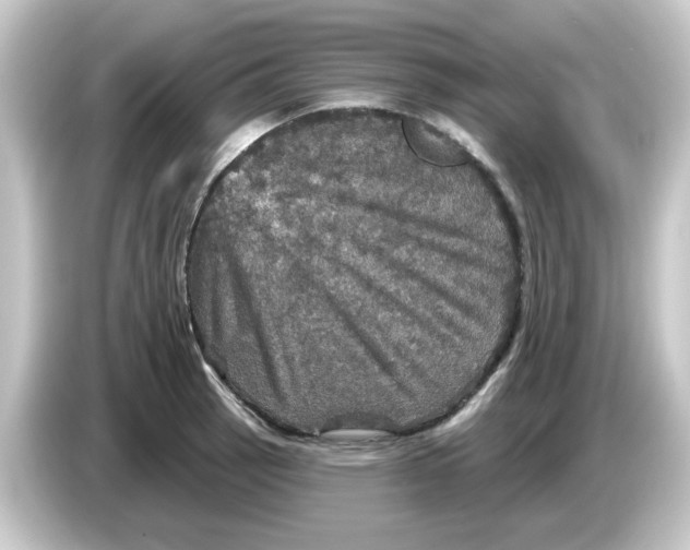 X0000084561137200703161659