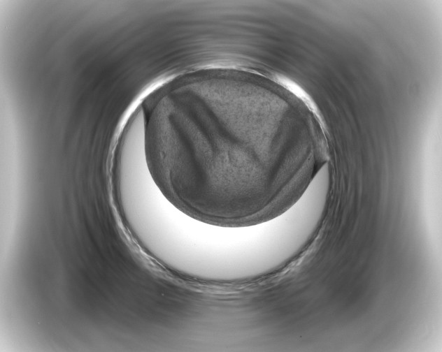 X0000084561138200703161659