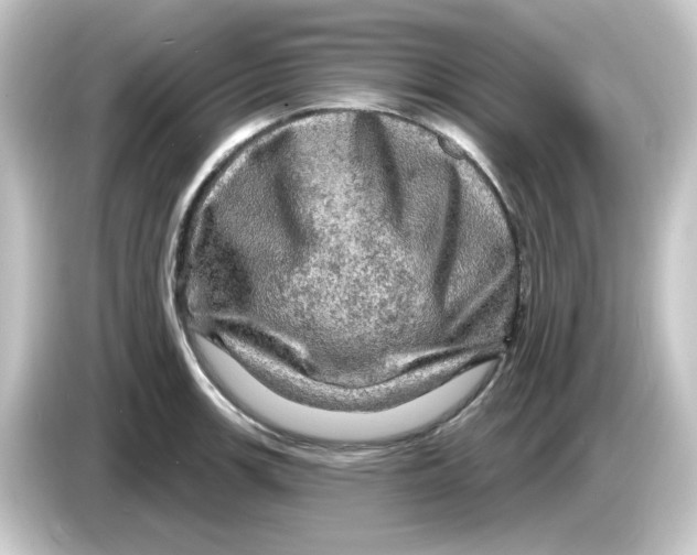 X0000084561139200703161659