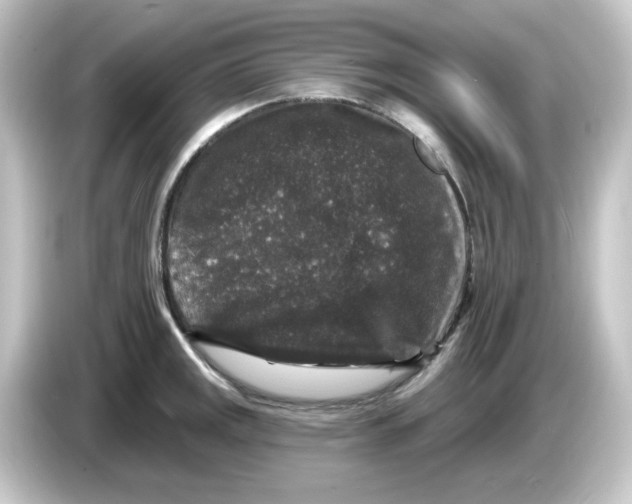 X0000084561141200703161659