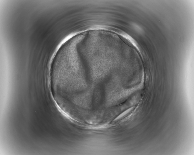 X0000084561143200703161700