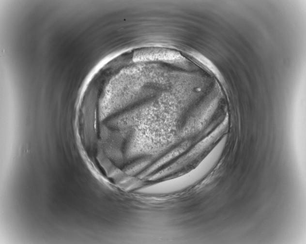 X0000084561144200703161700