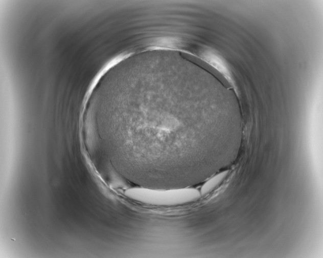 X0000084561146200703161700