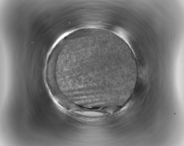 X0000084561147200703161700