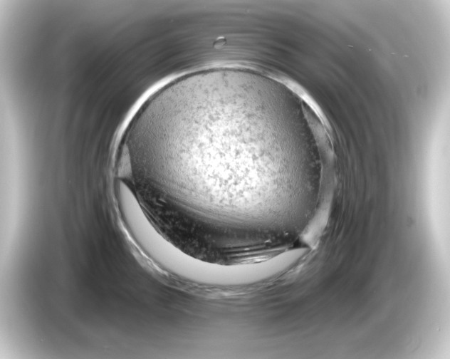 X0000084561148200703161700