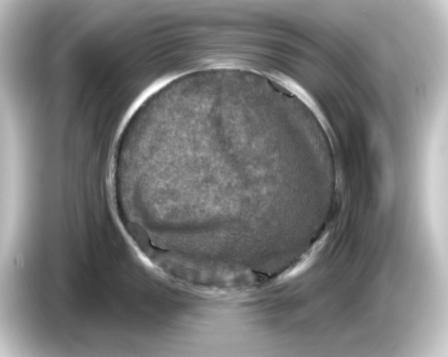 X0000084561149200703161700