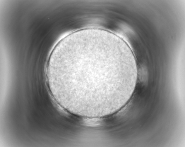 X0000084561150200703161700