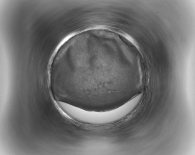 X0000084561151200703161700