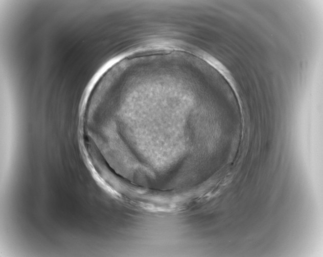 X0000084561152200703161700