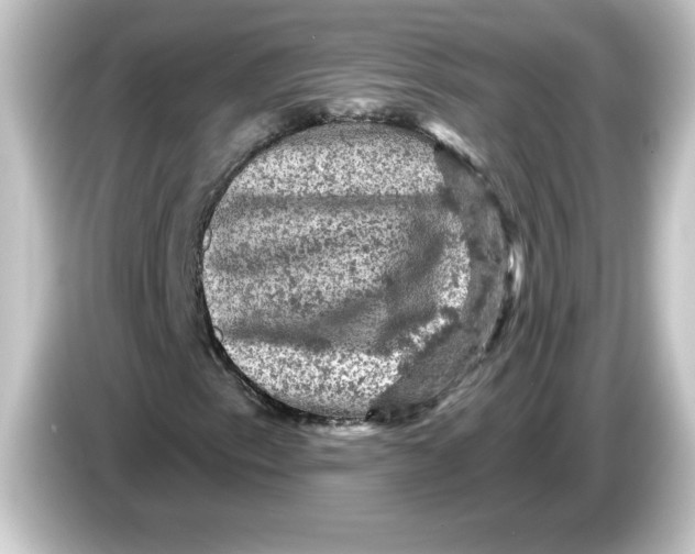 X0000084561153200703161659