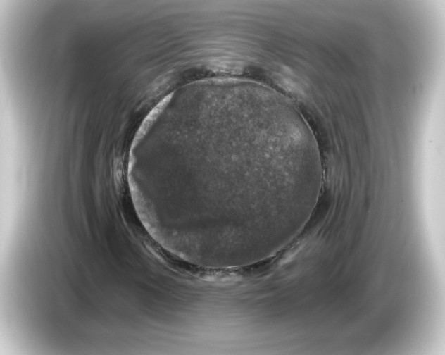 X0000084561154200703161659