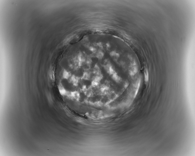 X0000084561155200703161659