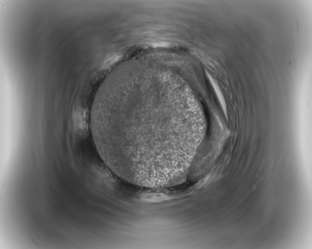 X0000084561156200703161659