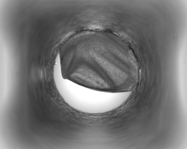 X0000084561157200703161659