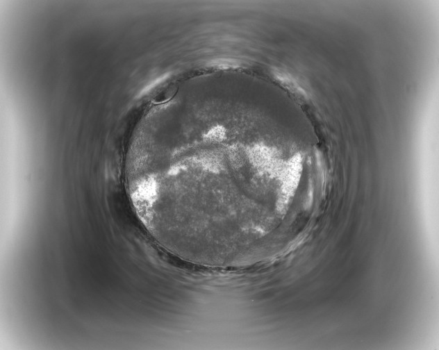 X0000084561158200703161659