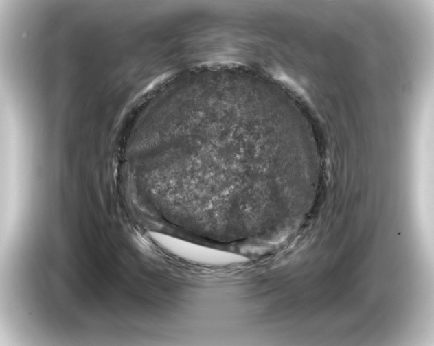 X0000084561159200703161659