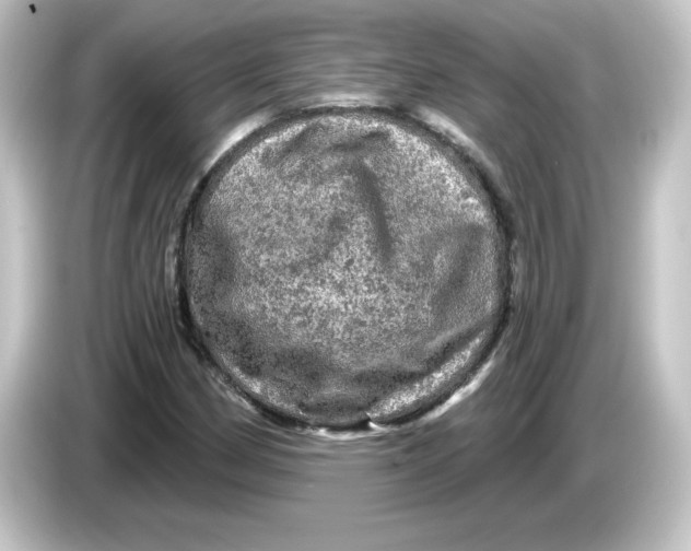 X0000084561162200703161659