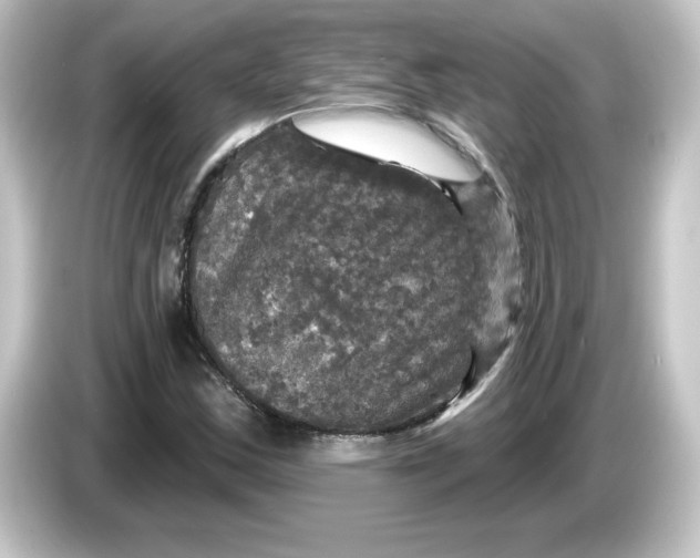 X0000084561163200703161659