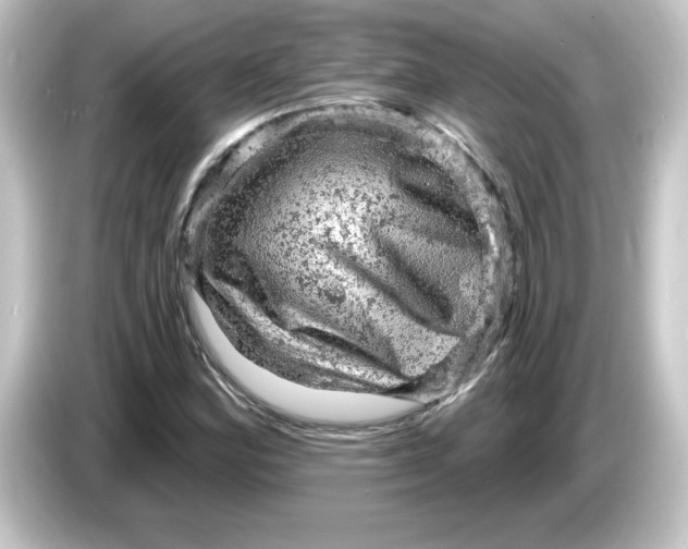 X0000084561164200703161659