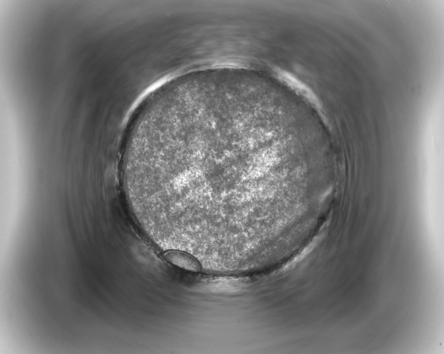 X0000084561166200703161659