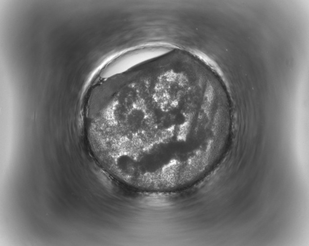 X0000084561167200703161659