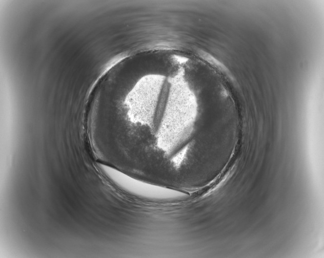 X0000084561170200703161659