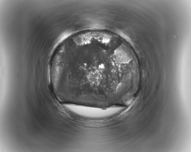 X0000084561171200703161659