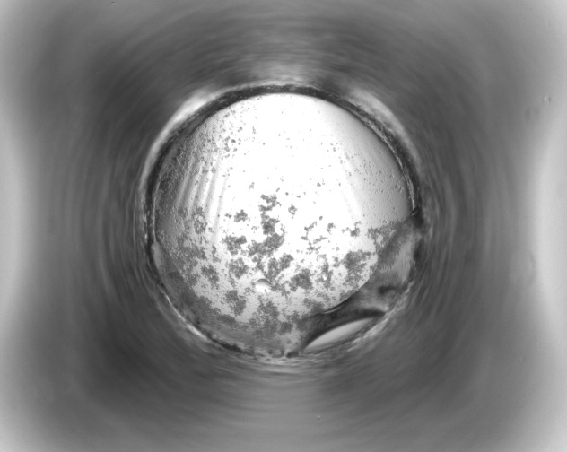 X0000084561172200703161659