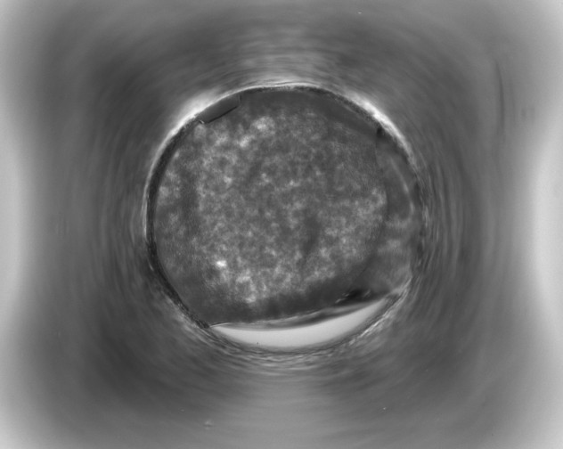 X0000084561173200703161659