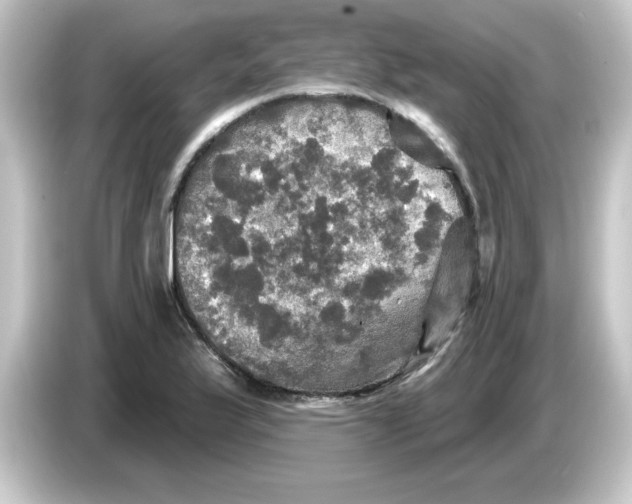 X0000084561175200703161659