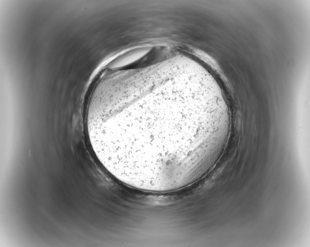 X0000084561176200703161659