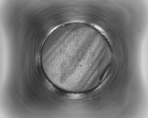 X0000084561177200703161659