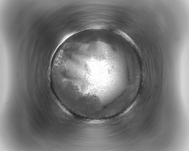 X0000084561178200703161659