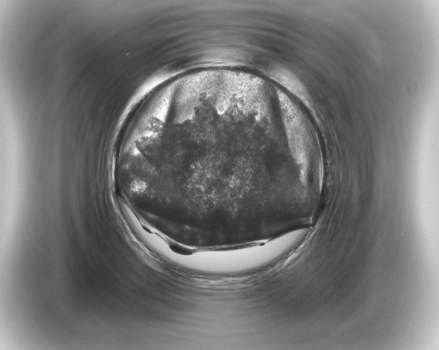 X0000084561179200703161659