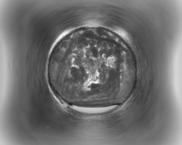 X0000084561183200703161659