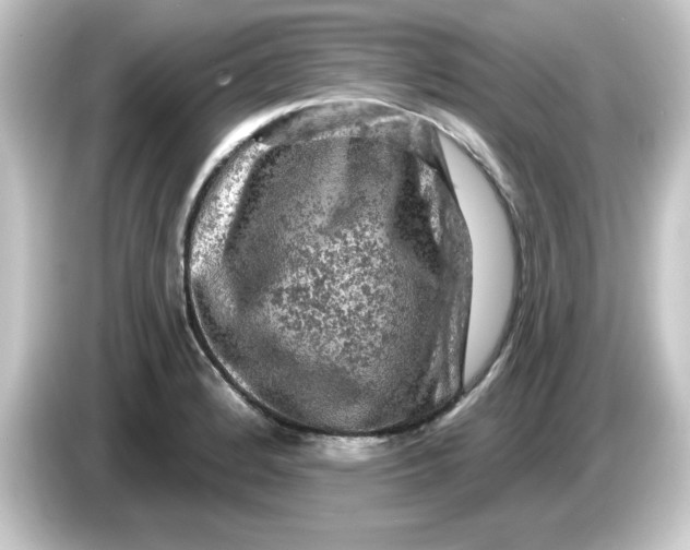 X0000084561184200703161659