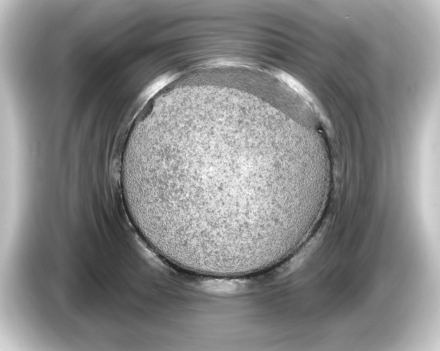 X0000084561185200703161659