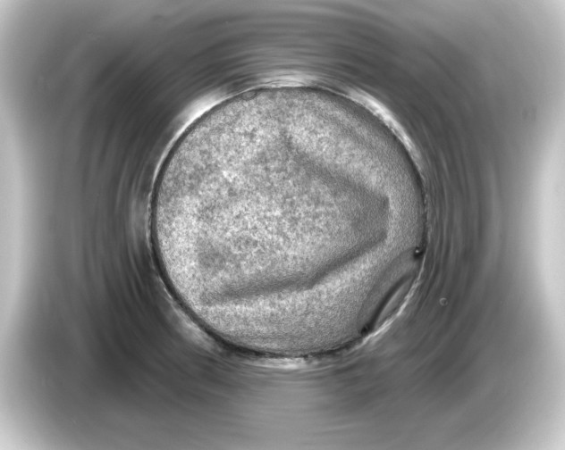 X0000084561186200703161659