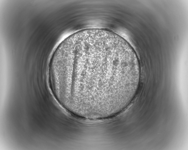 X0000084561187200703161659