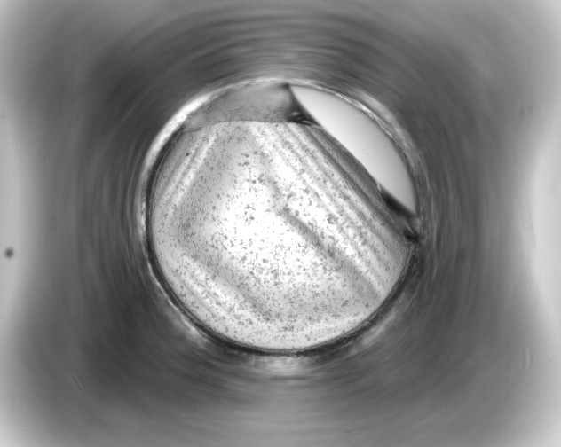 X0000084561188200703161659